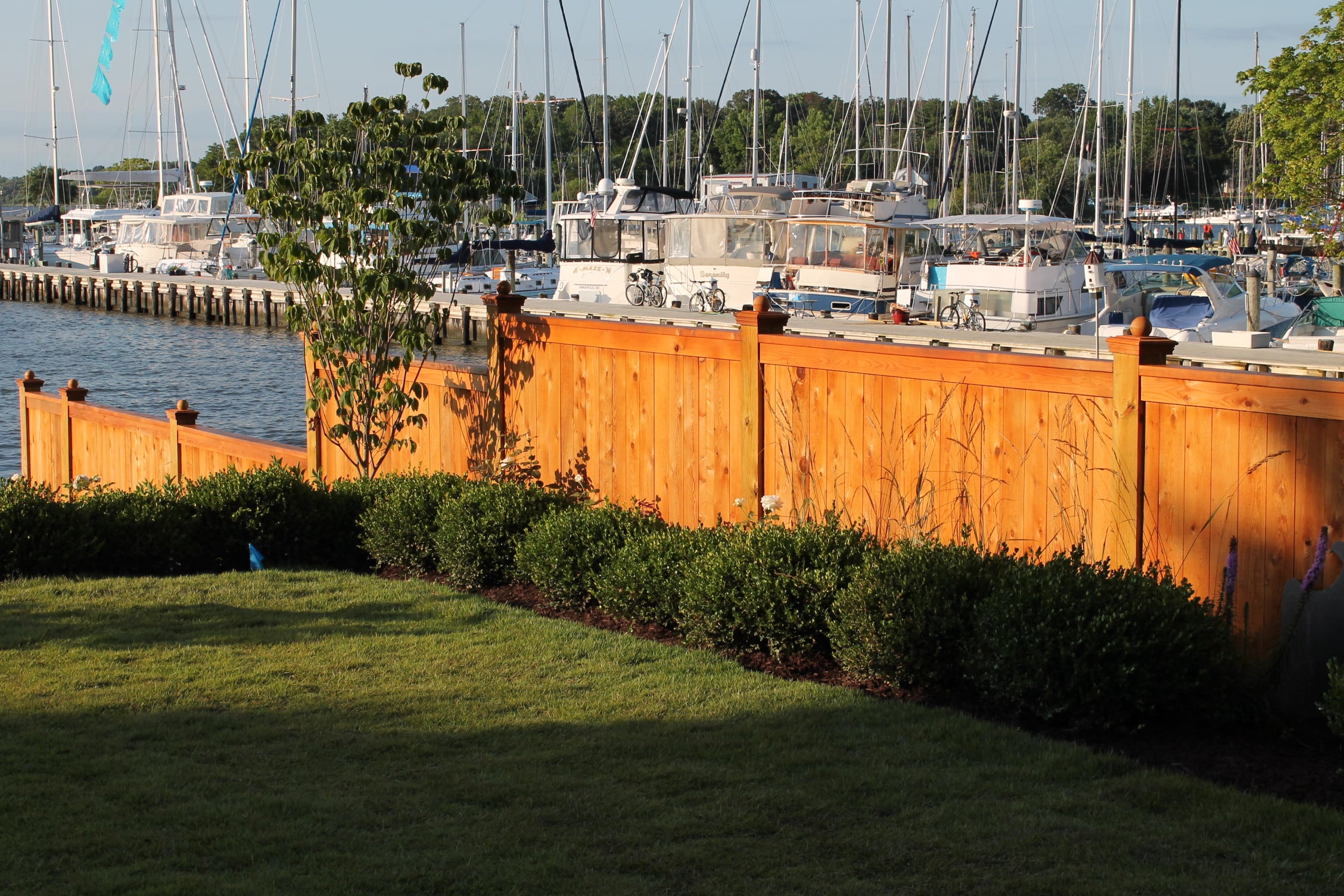 staining fence Annapolis MD