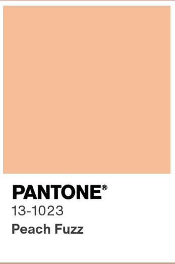 2024 color of the year