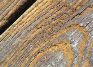 damaged wood from over power washing