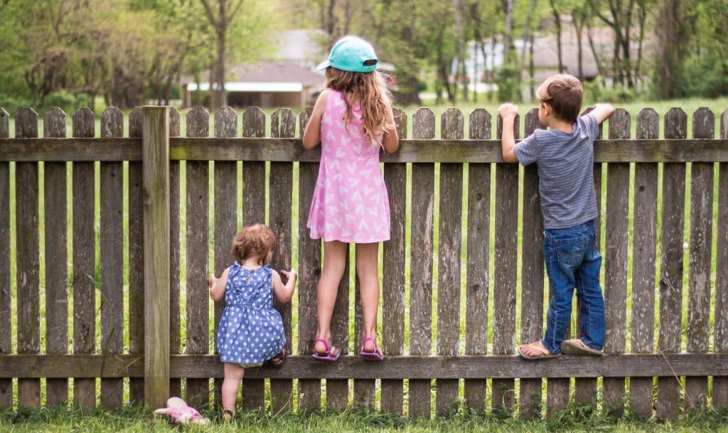 Children climbing a fence