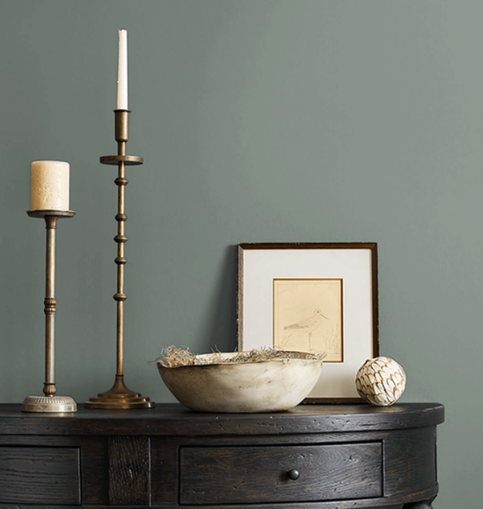2025 interior painting color from Sherwin Williams