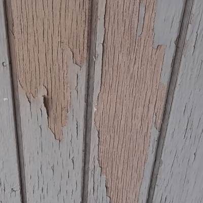 Exterior Painting Services Near You by Klappenberger & Son shows peeling paint on wood siding from improper priming.